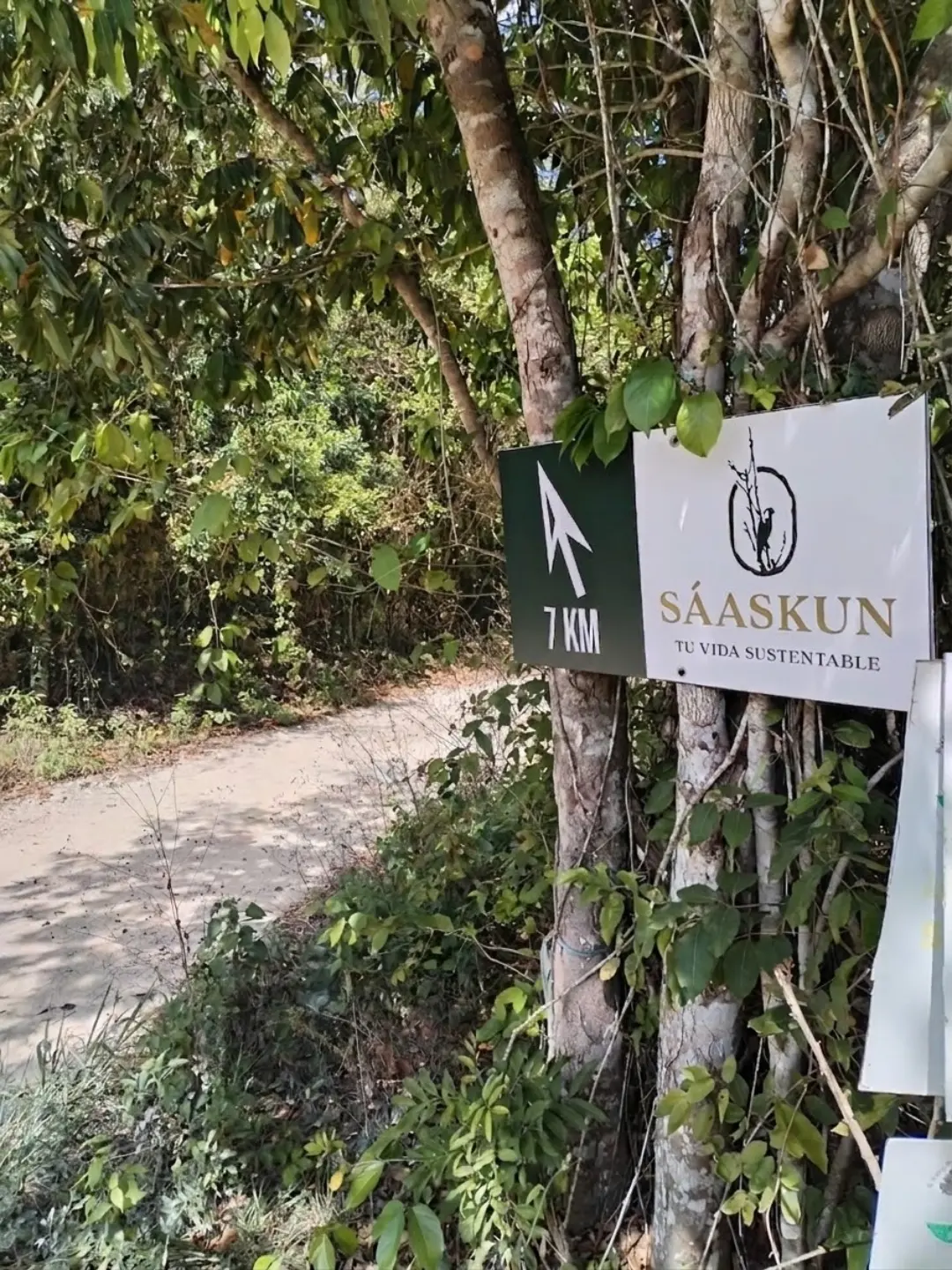 Acceso al desarrollo Sáaskun con señalización propia